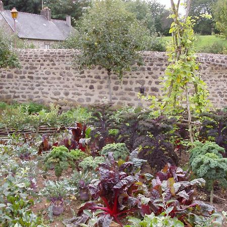 Chambres D'Hotes La Belle Taille Lassay-les-Chateaux エクステリア 写真