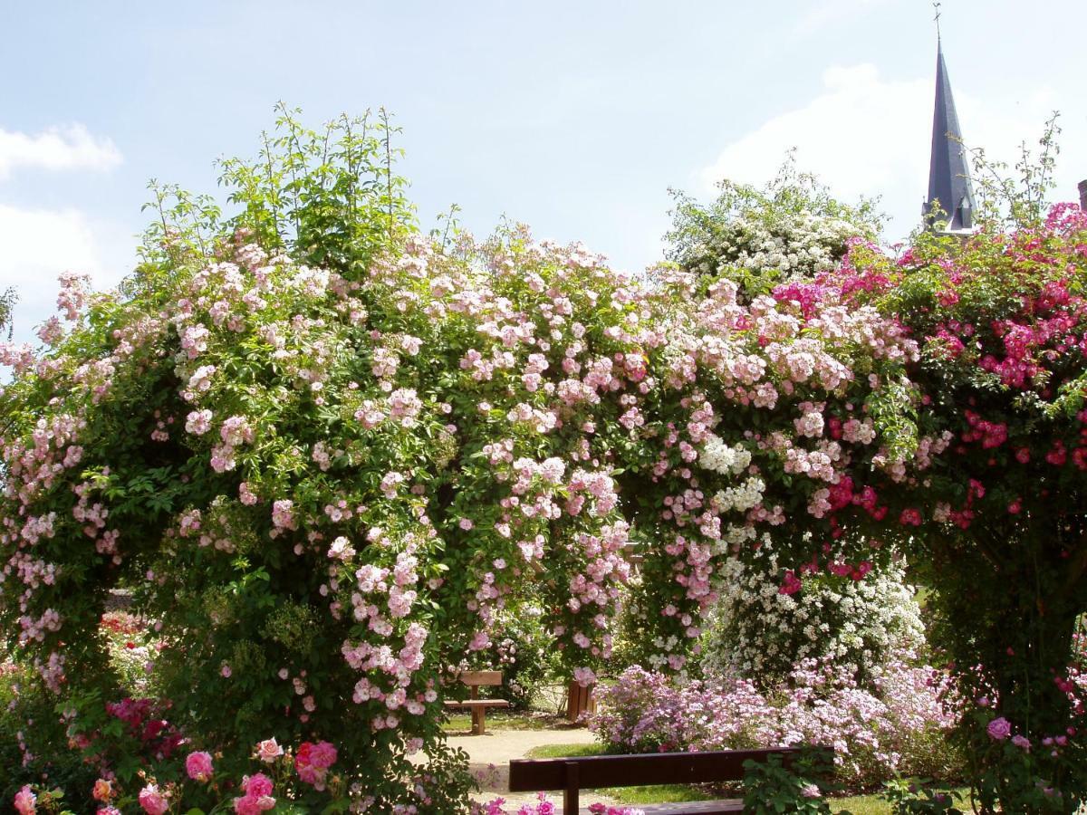 Chambres D'Hotes La Belle Taille Lassay-les-Chateaux エクステリア 写真